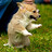 Блог им. Demka_online
